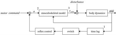 Design of Muscle Reflex Control for Upright Standing Push-Recovery Based on a Series Elastic Robot Ankle Joint